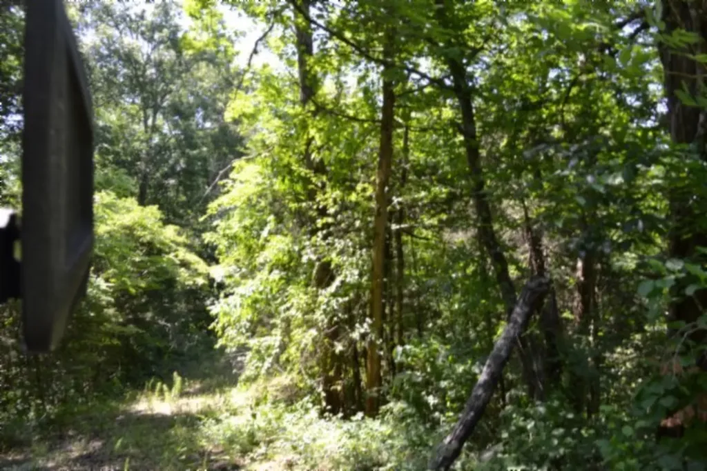 0 Beachamp Road Burkesville KY 42717