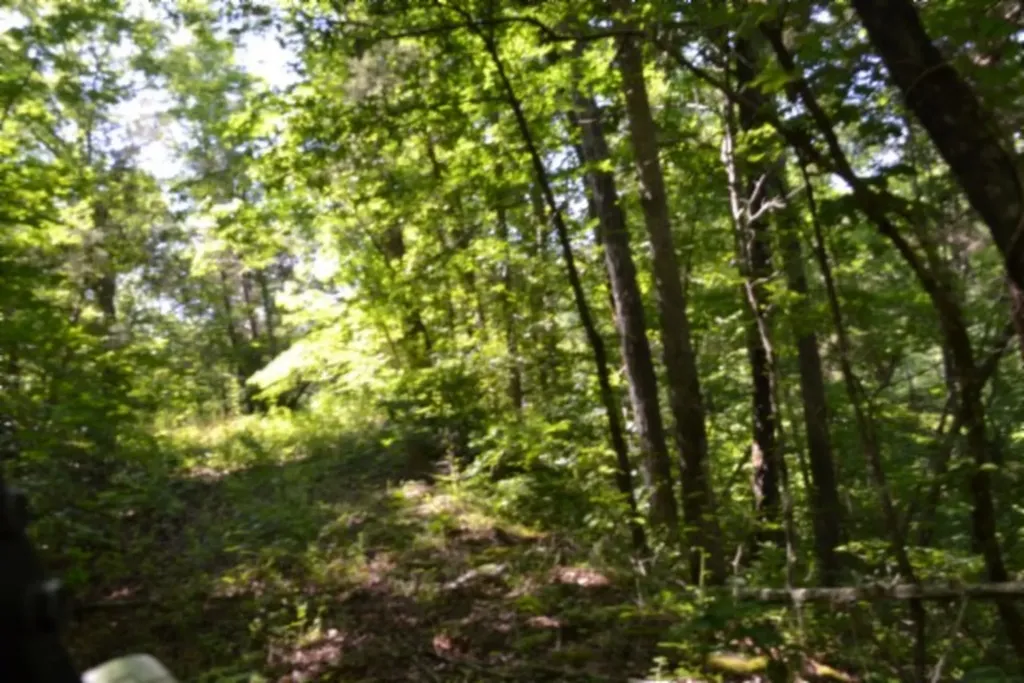 0 Beachamp Road Burkesville KY 42717