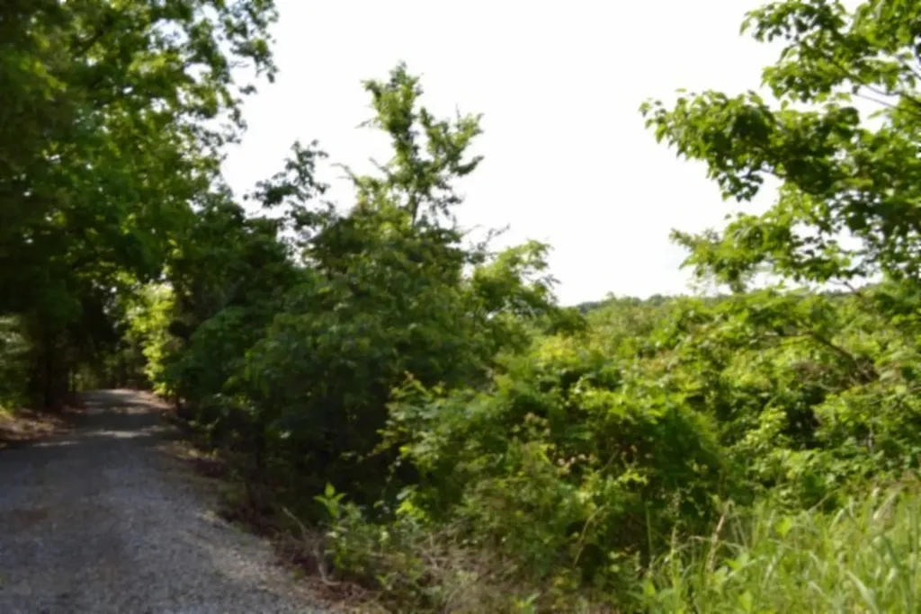 0 Beachamp Road Burkesville KY 42717