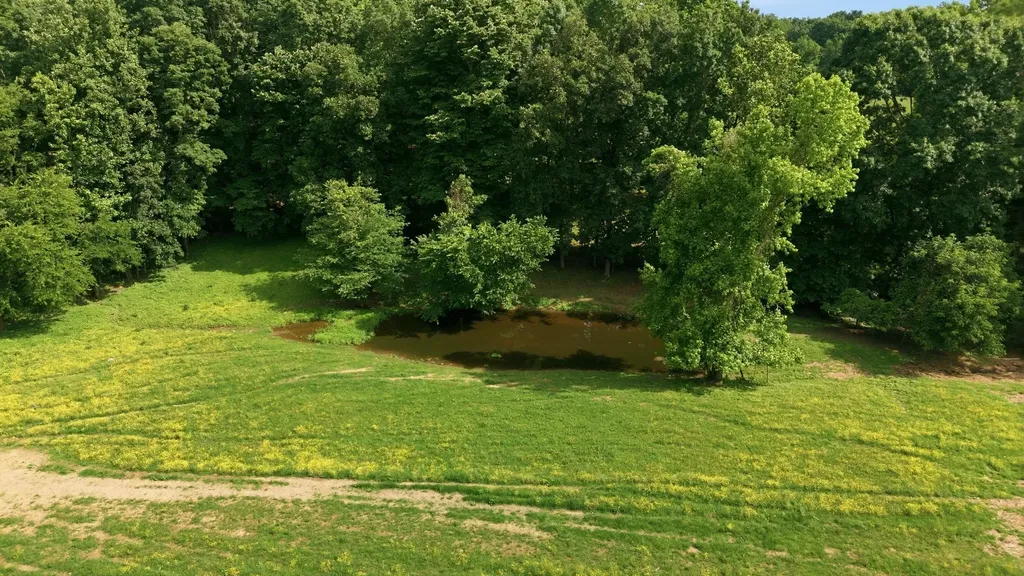 925 Sumac Road Pulaski TN 38478