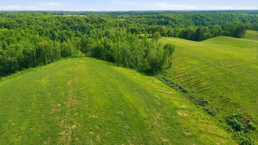 528 Sumac Road Pulaski TN 38478