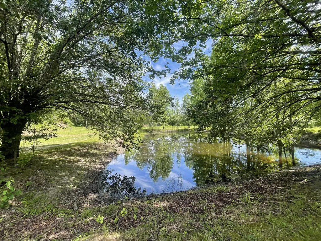 13431 New Highway 68 Tellico Plains TN 37385