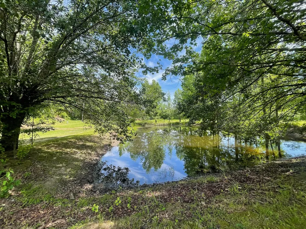 13431 New Highway 68 Tellico Plains TN 37385