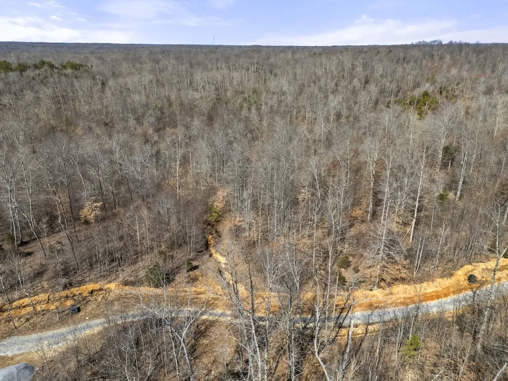 0 Furnace Hollow Road Dickson TN 37055