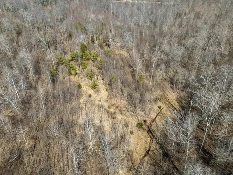 0 Furnace Hollow Road Dickson TN 37055