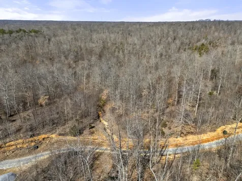 0 Furnace Hollow Road Dickson TN 37055