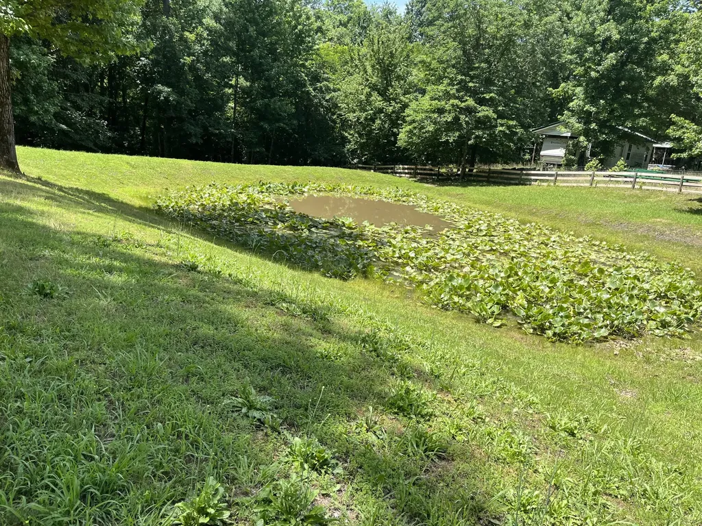 166 Outback Road Lobelville TN 37097