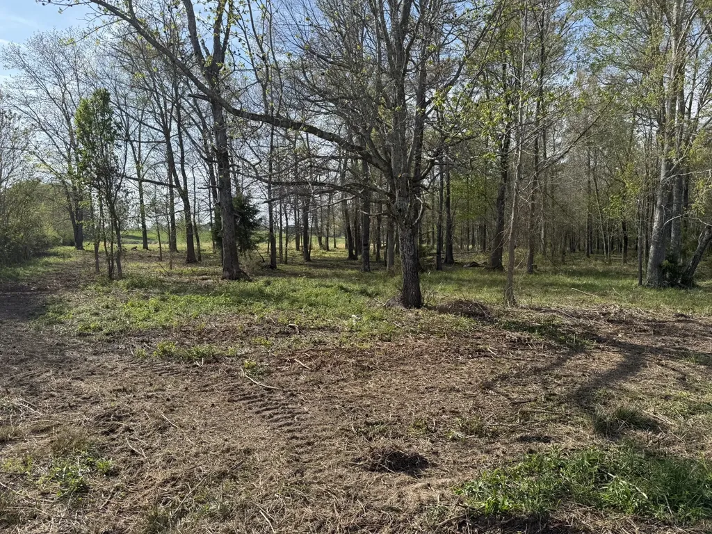 0 Bob Meadows Road Manchester TN 37355