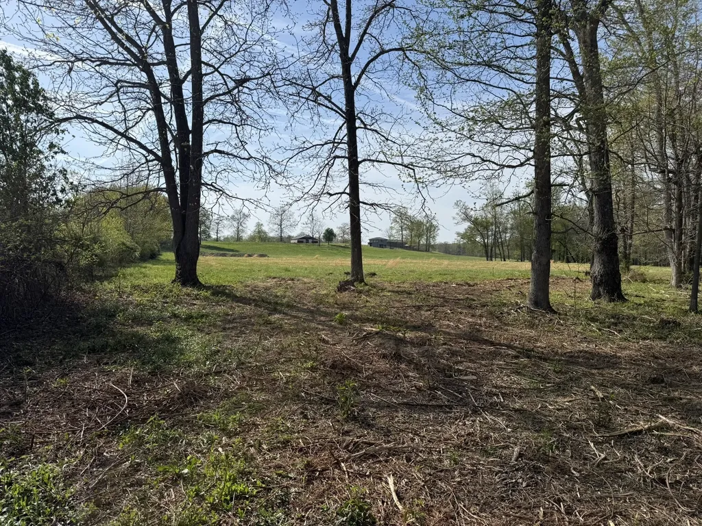 0 Bob Meadows Road Manchester TN 37355