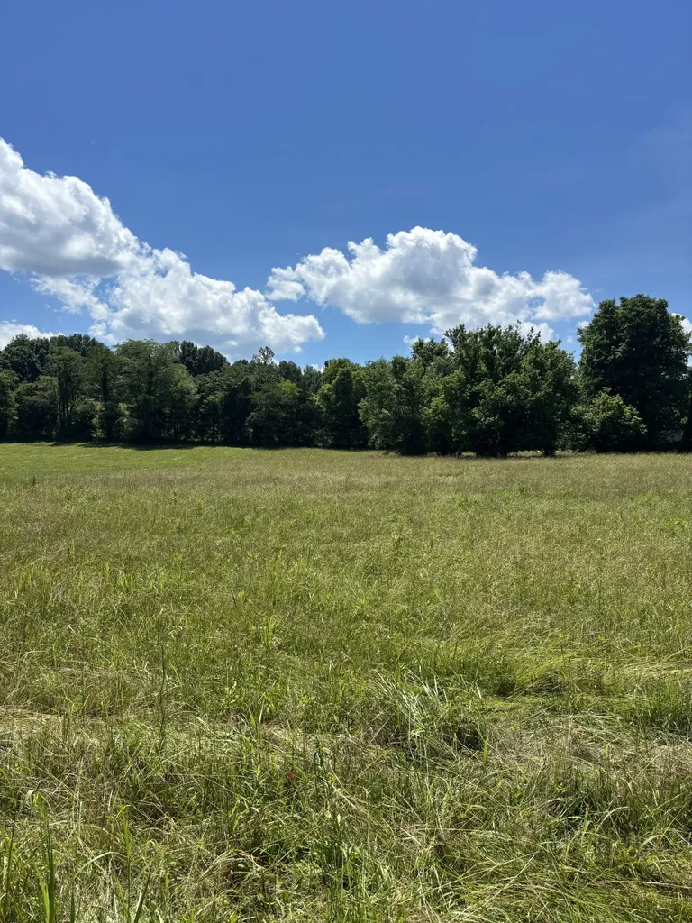 0 Highway 70, E Waverly TN 37185