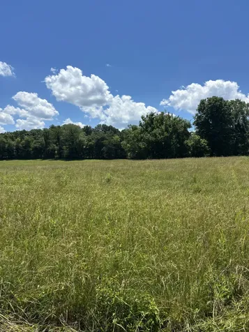 0 Highway 70, E Waverly TN 37185
