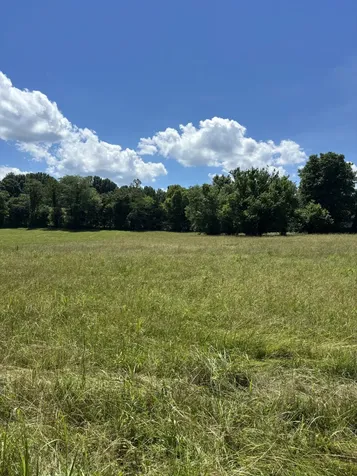 0 Highway 70, E Waverly TN 37185