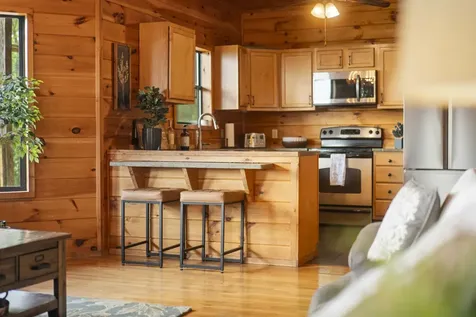 1219 Ski View Drive Gatlinburg TN 37738