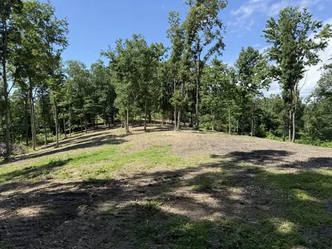 0 Joy Mount Pleasant TN 38474