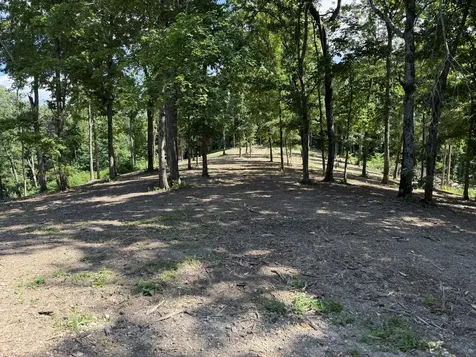 0 Joy Mount Pleasant TN 38474