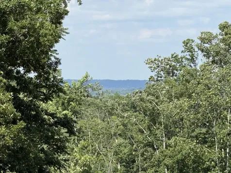 0 Joy Mount Pleasant TN 38474