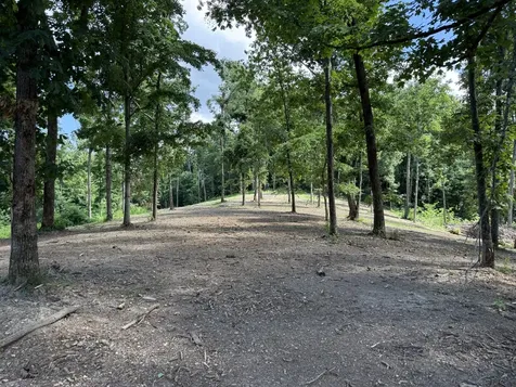 0 Joy Mount Pleasant TN 38474