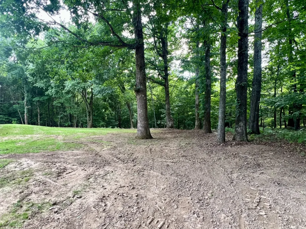 499 Scenic Hills Road Pulaski TN 38478