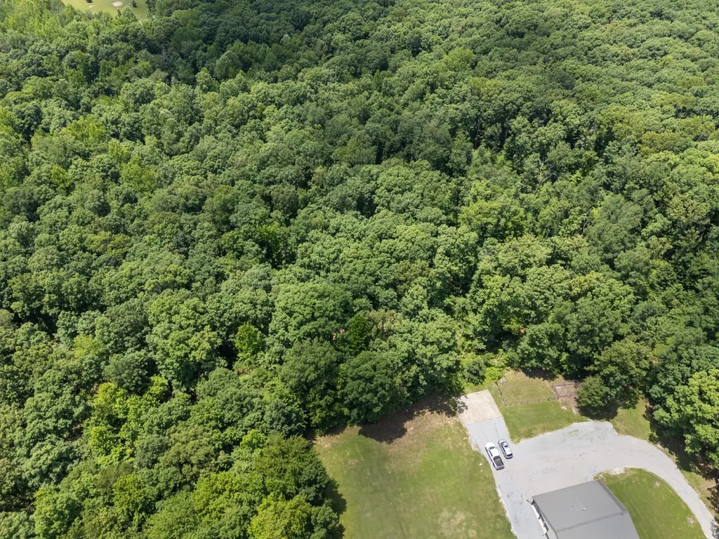 1150 Old Blacktop Road Mc Ewen TN 37101