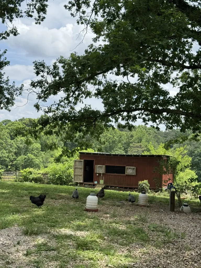 2658 Pickett Park Highway Jamestown TN 38556