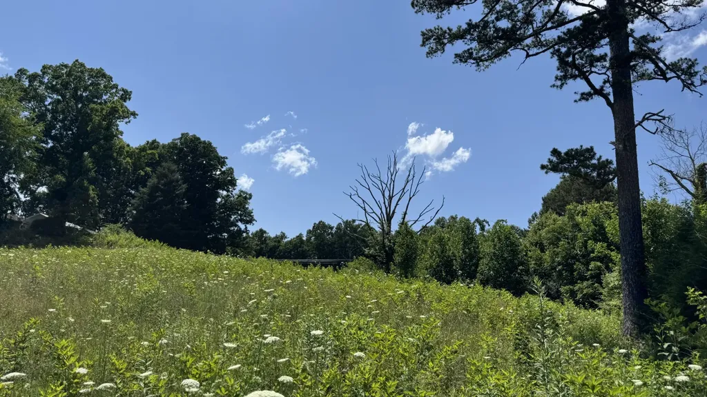 2658 Pickett Park Highway Jamestown TN 38556