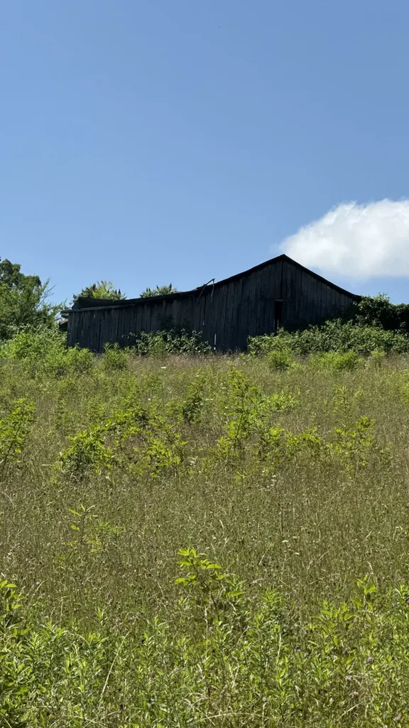 2658 Pickett Park Highway Jamestown TN 38556