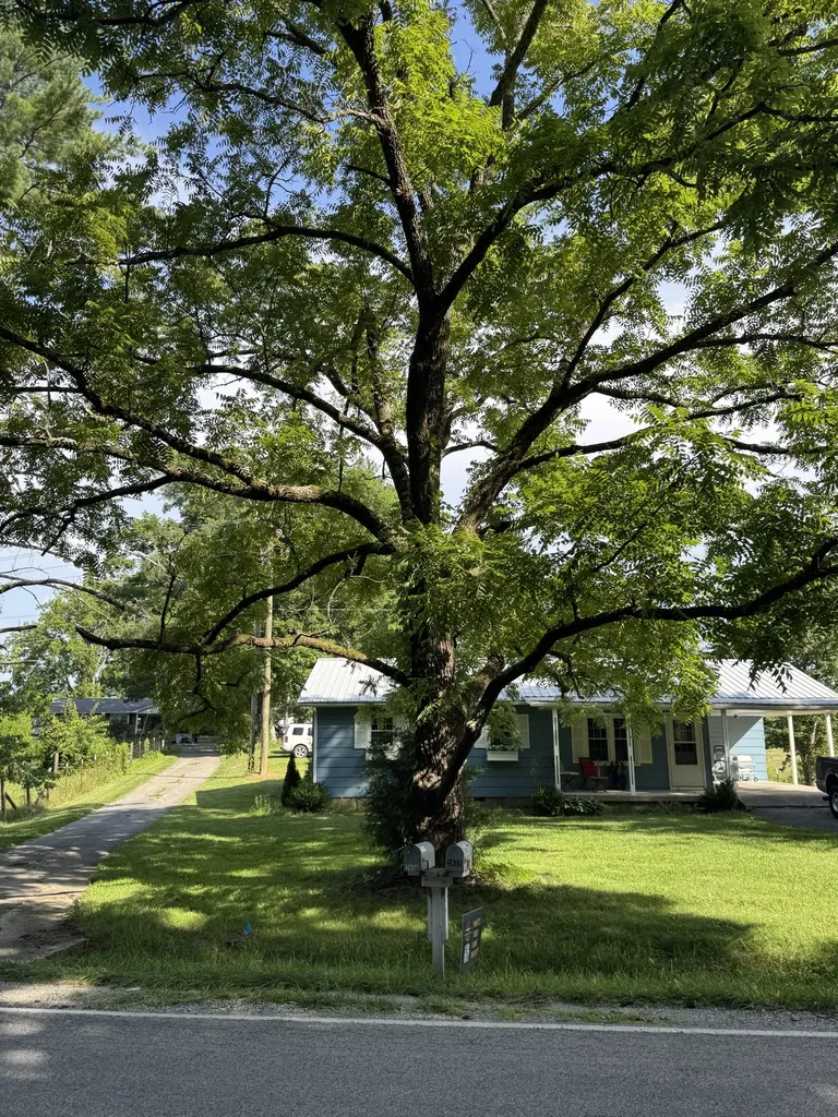 2658 Pickett Park Highway Jamestown TN 38556