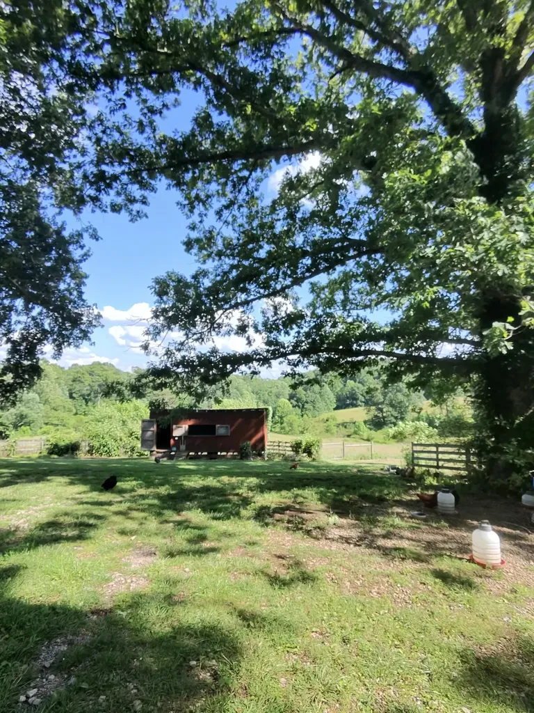 2658 Pickett Park Highway Jamestown TN 38556