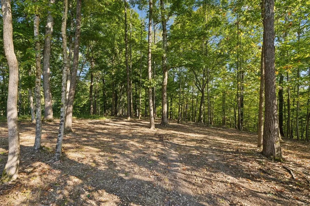 5600 Parker Branch Trail Franklin TN 37064