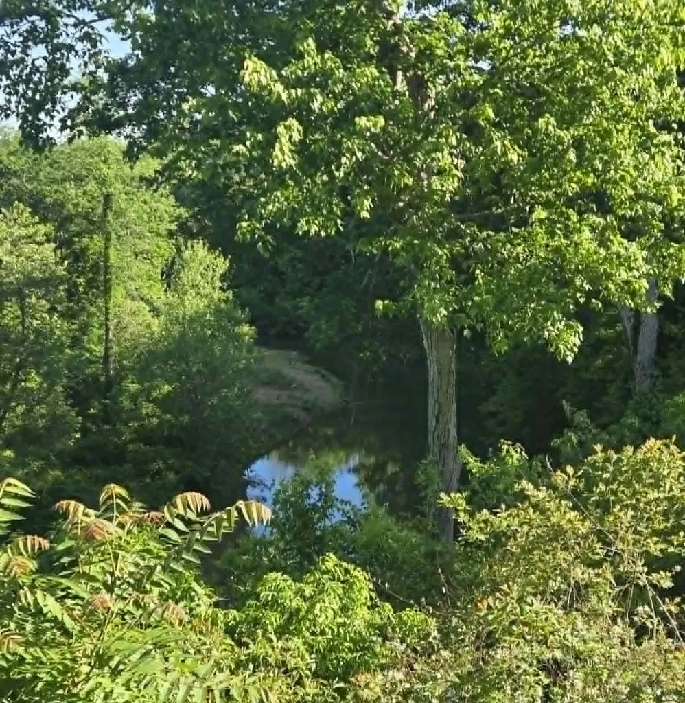 6491 Piney River Road, N Bon Aqua TN 37025