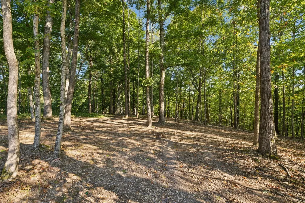 5600 Parker Branch Trail Franklin TN 37064