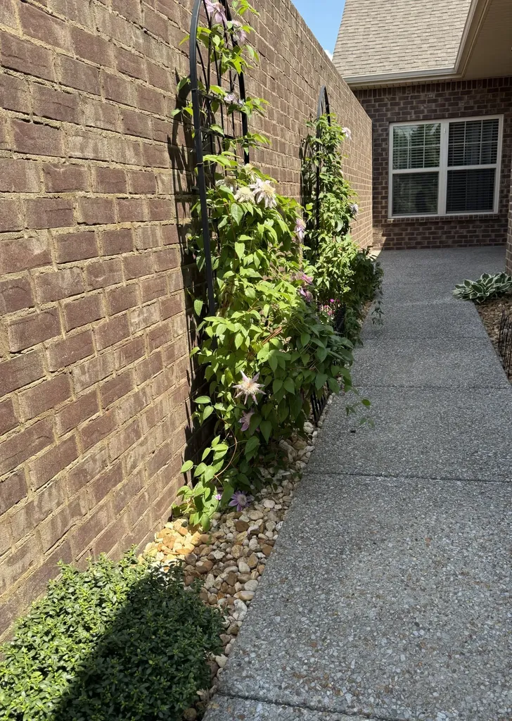 236 Glennister Court Gallatin TN 37066