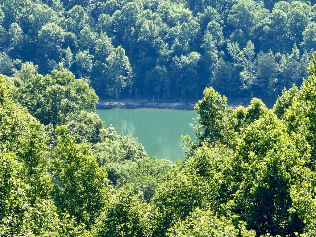 425 Opal Point Drive Smithville TN 37166