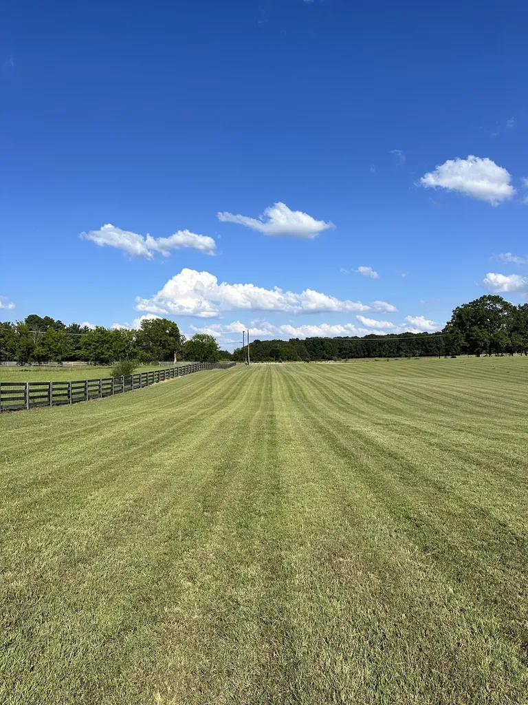 7509 Pinewood Road Primm Springs TN 38476