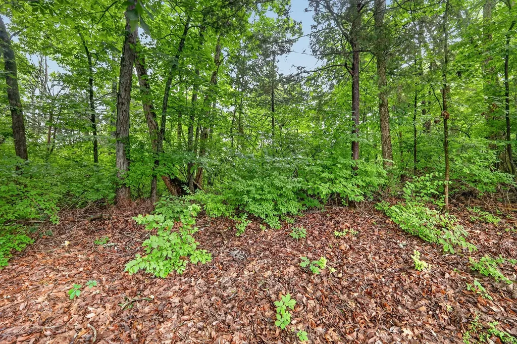 4848 Highlander Cove Antioch TN 37013