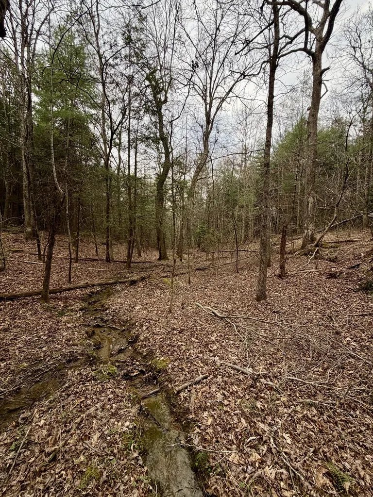 2 Nashville Highway Deer Lodge TN 37726