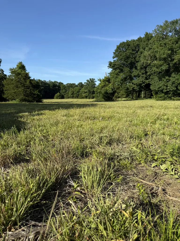 1988 Fayetteville Highway Belfast TN 37019