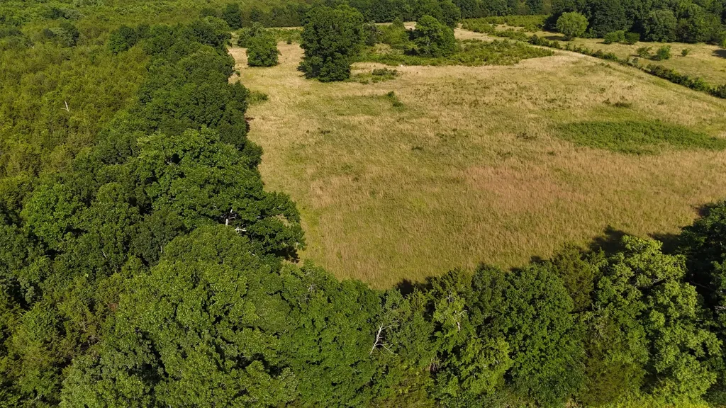 1988 Fayetteville Highway Belfast TN 37019