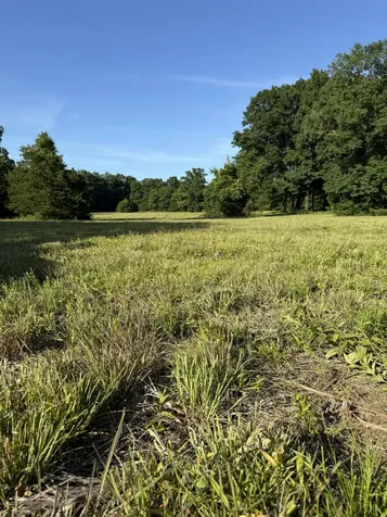 1988 Fayetteville Highway Belfast TN 37019