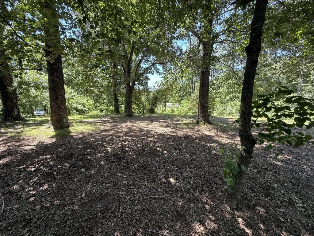4642 Highway 43, N Summertown TN 38483