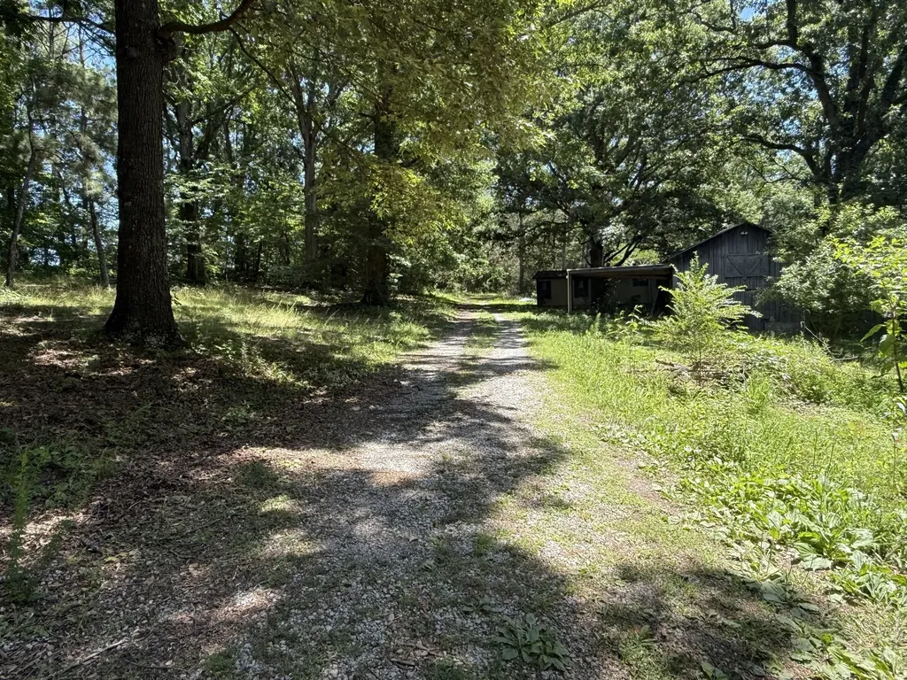 4642 Highway 43, N Summertown TN 38483
