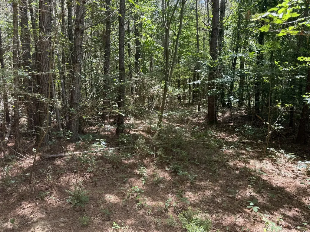 4642 Highway 43, N Summertown TN 38483