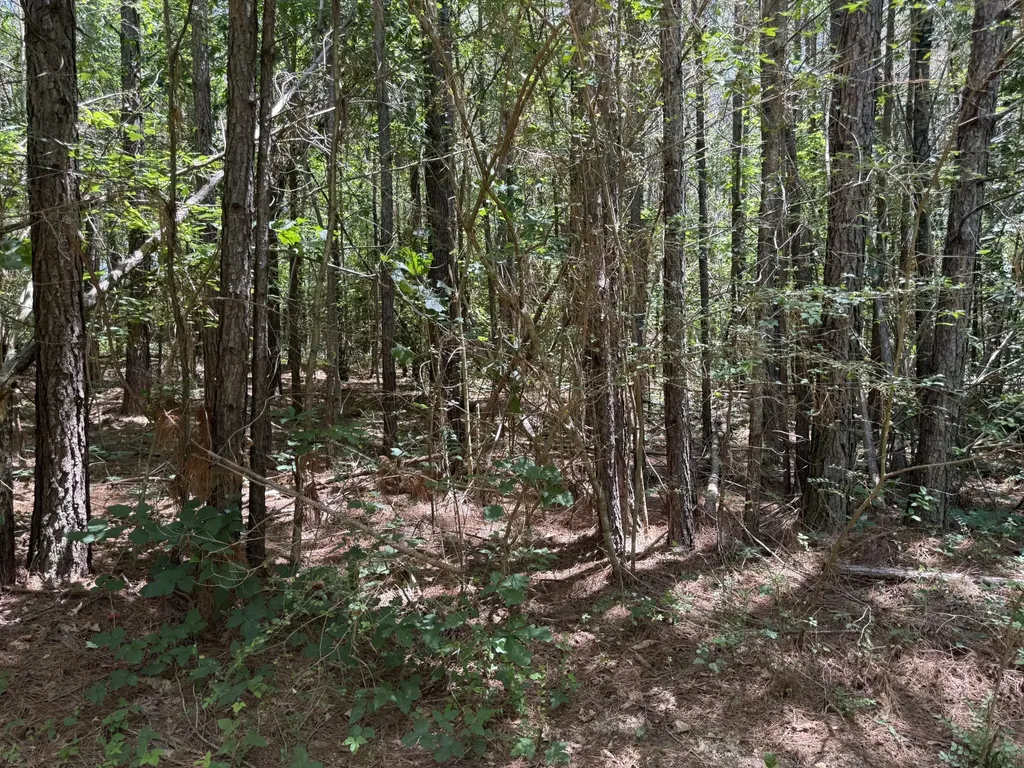 4642 Highway 43, N Summertown TN 38483