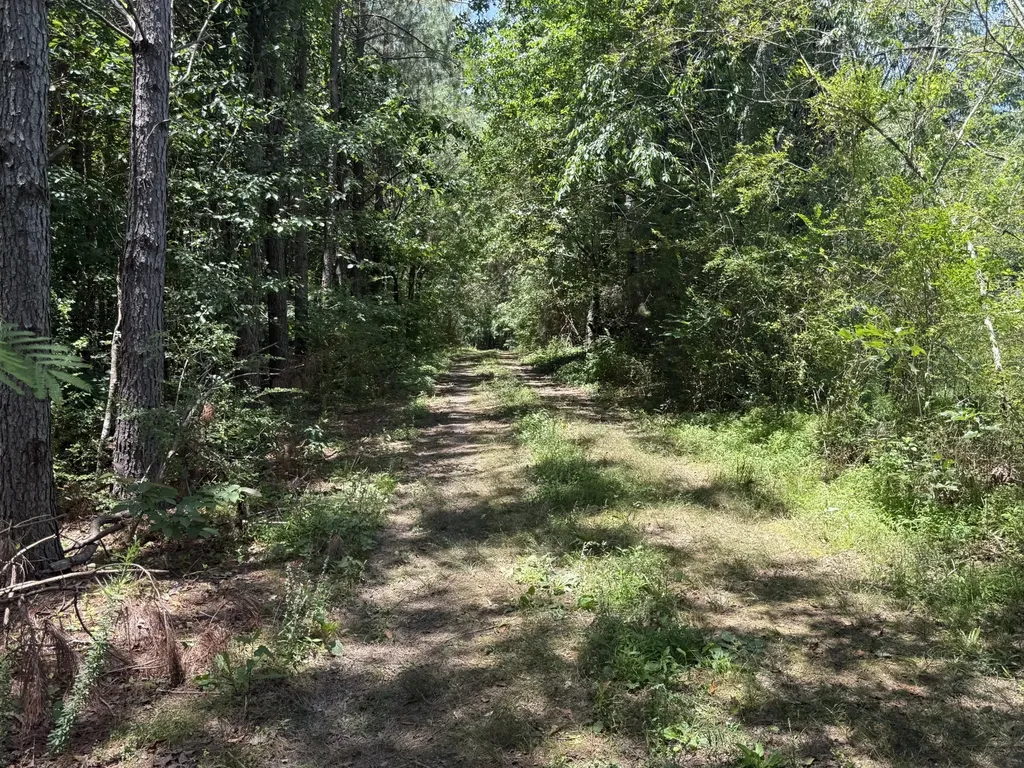 4642 Highway 43, N Summertown TN 38483