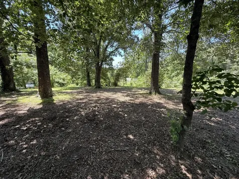 4642 Highway 43, N Summertown TN 38483