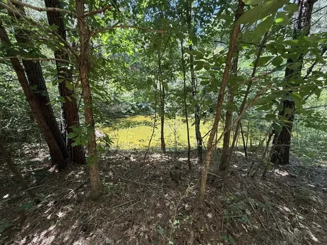 4642 Highway 43, N Summertown TN 38483