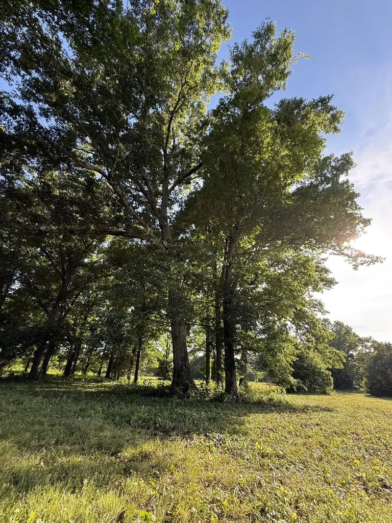 1988 Fayetteville Highway Belfast TN 37019