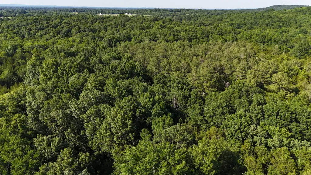 1988 Fayetteville Highway Belfast TN 37019