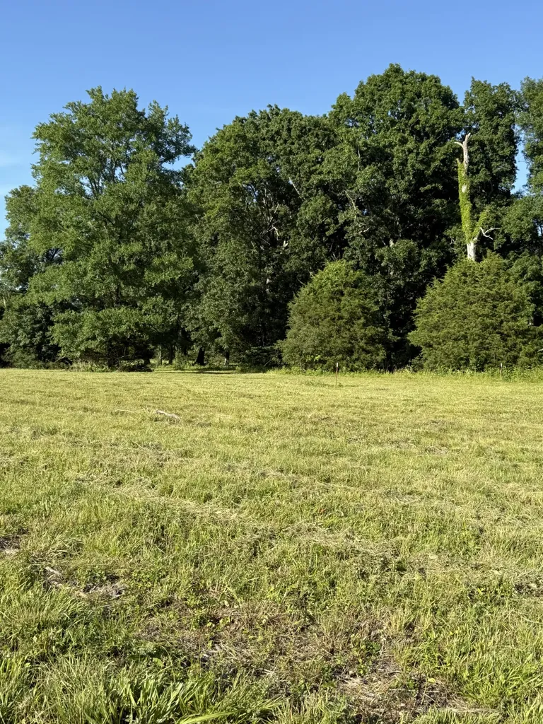 1988 Fayetteville Highway Belfast TN 37019