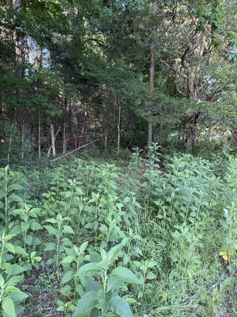 1988 Fayetteville Highway Belfast TN 37019